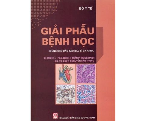 Giải Phẫu Bệnh Học (Đào tạo BS Đa Khoa) – Bộ Y Tế- MedUC.vn